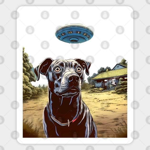 UFOs 2: My Dog Thinks UFOs Are Real on a light (Knocked out) background Magnet by Puff Sumo